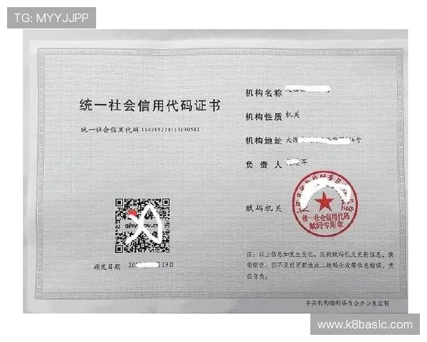 K8视迅官网最新版本下载与安装指南，帮助用户轻松掌握操作流程